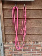 Roze touwhalster knopenhalster met leadrope, Dieren en Toebehoren, Paarden en Pony's | Hoofdstellen en Tuigage, Ophalen of Verzenden