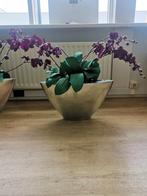 Grote kunst Orchideeën, Ophalen, Zo goed als nieuw