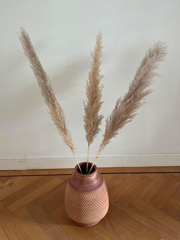 Terracotta vaas met pluimen beschikbaar voor biedingen