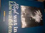 Altijd wat in Leeuwarden - Historisch boek, Ophalen of Verzenden, 20e eeuw of later, Zo goed als nieuw