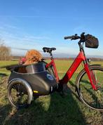 GEZOCHT: fietszijspan, Ophalen, Zo goed als nieuw
