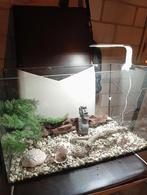 Een klein aquarium., Dieren en Toebehoren, Ophalen