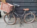 Kinderfiets, Fietsen en Brommers, Ophalen, 22 inch, Gebruikt, Alpina
