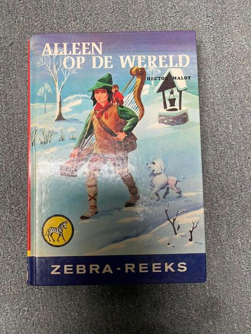 Alleen op de wereld, Boeken, Kinderboeken | Jeugd | 10 tot 12 jaar, Zo goed als nieuw, Ophalen of Verzenden