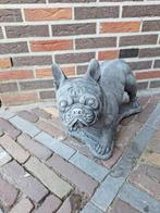 Betonbeeld Franse buldog, Tuin en Terras, Tuinbeelden, Ophalen, Nieuw, Beton, Dierenbeeld