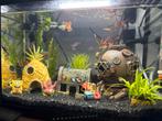 Aquarium 20 liter met toebehoren, Dieren en Toebehoren, Vissen | Aquaria en Toebehoren, Ophalen, Leeg aquarium