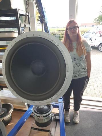 subwoofer kist op maat MDF beschikbaar voor biedingen