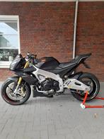 Aprilia tuono v4, Motoren, Motoren | Aprilia, Naked bike, 1000 cc, Particulier