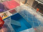 Hamster/knaagdierenkooi met veel extra’s, Kooi, Gebruikt, Minder dan 75 cm, Hamster