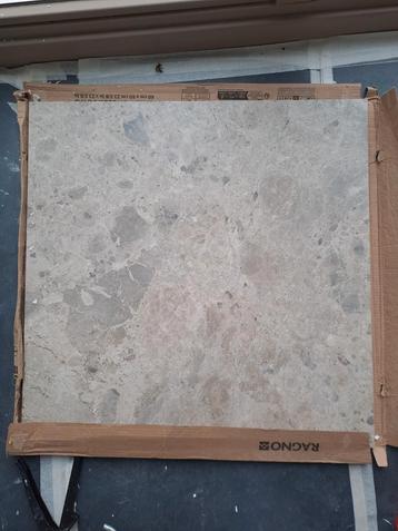 Ragno Eterna 60x60 Multicolor Tegel  beschikbaar voor biedingen