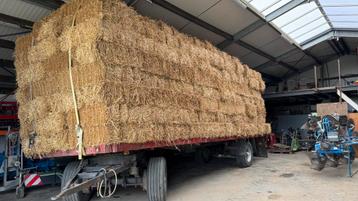 Prachtig stro van wintertarwe te koop! beschikbaar voor biedingen
