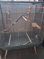Vogelkooi, Ophalen, Zo goed als nieuw, Metaal, Vogelkooi