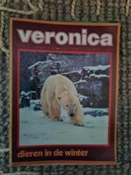Veronica 1971, Verzamelen, Tijdschriften, Kranten en Knipsels, Ophalen of Verzenden