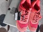 Hv polo sportschoenen nieuw 36, Dieren en Toebehoren, Paardrijkleding, Ophalen of Verzenden, Nieuw, Overige soorten, Schoeisel
