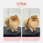 Pomsalon, Mei, Meerdere dieren