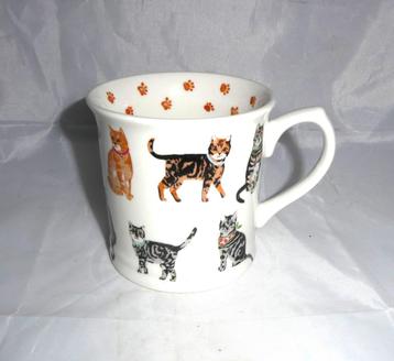 Cooksmart England poezen mok beschikbaar voor biedingen