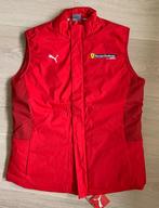 Originele nieuwe Trofeo Pirelli Ferrari Challenge bodywarmer, Nieuw, Maat 52/54 (L), Ophalen of Verzenden, Puma Ferrari