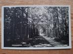 ansichtkaart Breda Princenhage Liesbosch zandpad, Verzamelen, Ansichtkaarten | Nederland, Ophalen of Verzenden, 1920 tot 1940