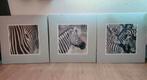 Zebra Schilderijen -Set van 3, Ophalen, Minder dan 50 cm, Gebruikt, Schilderij