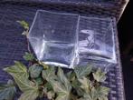Glazen plantenbakjes., Ophalen of Verzenden, Nieuw, Glas, Minder dan 50 cm