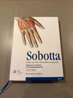 Waschke - 1 Algemene anatomie en bewegingsapparaat, Ophalen of Verzenden, Waschke; Paulsen