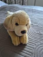 nieuwe zachte plucheknuffel Labrador, Ophalen of Verzenden, Nieuw, Overige typen