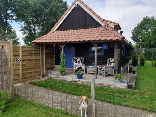 B&B vakantiehuisje Friesland Drenthe met hond omheinde tuin, Vakantie, Bed & Breakfasts en Pensions, Landelijk, Eigenaar, Huisdier toegestaan