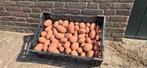 Aardappels, direct van de boer!, Zakelijke goederen, Ophalen
