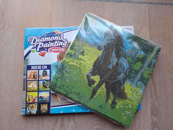 Diamond Painting Paard - Nieuw in verpakking!, Hobby en Vrije tijd, Knutselen, Nieuw, Knutselwerk, Ophalen