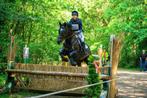 9 jarige eventingmerrie te koop, Dieren en Toebehoren, Paarden, Merrie, Springpaard, Gechipt, L