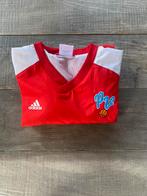 Rode Adidas trui - maat S, Ophalen of Verzenden, Zo goed als nieuw, Adidas, Rood