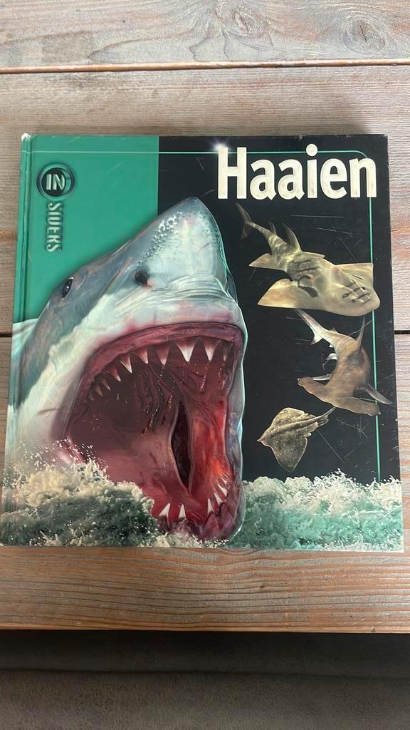 Beverly MacMillan - Haaien, Boeken, Kinderboeken | Jeugd | onder 10 jaar, Zo goed als nieuw, Fictie algemeen, Ophalen of Verzenden
