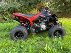 Can Am quad Canam DS 250, Motoren, Quads en Trikes, 1 cilinder, 250 cc