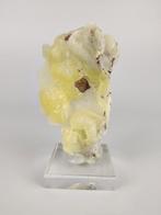 Bruciet, Ophalen of Verzenden