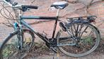 Koga Miyata Hybride Trekkingfiets - Maat 57, Gebruikt, Versnellingen, 57 tot 61 cm, Ophalen