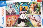 Dieren puzzel, Ophalen of Verzenden, Gebruikt
