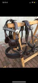 Bruin Men tuig, Dieren en Toebehoren, Paarden en Pony's | Hoofdstellen en Tuigage, Ophalen of Verzenden, Nieuw