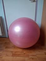 Fitnessbal 65 cm met pomp (gekocht mag niet meer gebruiken), Ophalen, Fitnessbal