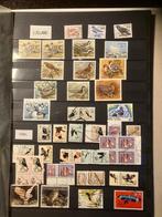 Postzegels Vogels en Wereld allerlei, Postzegels en Munten, Postzegels | Volle albums en Verzamelingen, Ophalen, Buitenland