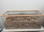 Terrarium 100 x 42 x 38, Dieren en Toebehoren, Zo goed als nieuw, Ophalen, Minder dan 60 cm, Hok