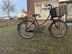 Kinderfiets met mand, Ophalen, 24 inch, Zonix, Zo goed als nieuw