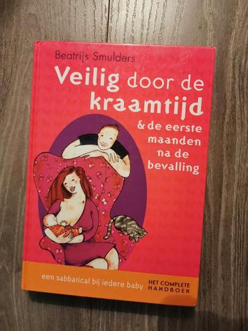 Beatrijs Smulders - Veilig door de kraamtijd beschikbaar voor biedingen