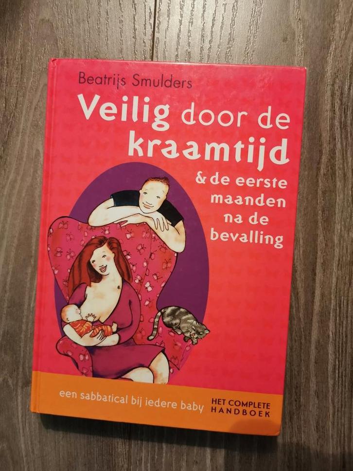 Beatrijs Smulders - Veilig door de kraamtijd, Boeken, Zwangerschap en Opvoeding, Zo goed als nieuw, Zwangerschap en Bevalling