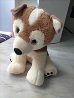 Grote honden knuffel xxl, Kinderen en Baby's, Speelgoed | Knuffels en Pluche, Ophalen, Zo goed als nieuw, Hond