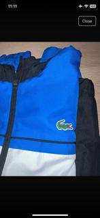 Lacoste Trainingspak Maat S - Zo Goed Als Nieuw!, Ophalen of Verzenden, Zo goed als nieuw, Heren