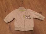 Velours baby vest maat 50 grijs, Kinderen en Baby's, Babykleding | Maat 50, Ophalen, Zo goed als nieuw, Jongetje of Meisje, Truitje of Vestje