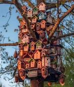 vogel hotel voor parkiet tot ara, Nieuw, Ophalen of Verzenden, Zand en Verzorging