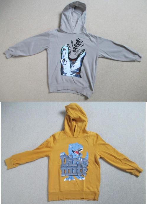 Hoodies, Truien met capuchon maat 134-140, Kinderen en Baby's, Kinderkleding | Maat 134, Zo goed als nieuw, Jongen, Trui of Vest