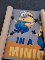 In a minion minions speelmat the minions, Ophalen of Verzenden, Zo goed als nieuw, Jongen of Meisje