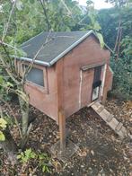 Gratis kippen hok met 3 kippen, Ophalen of Verzenden, Kippenhok of Kippenren